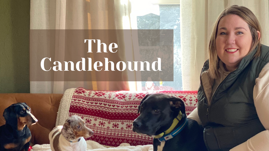 The Candlehounds' Journey