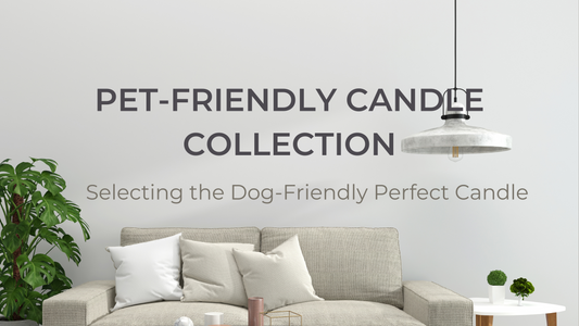 Our Pet-Friendly Candle Collection