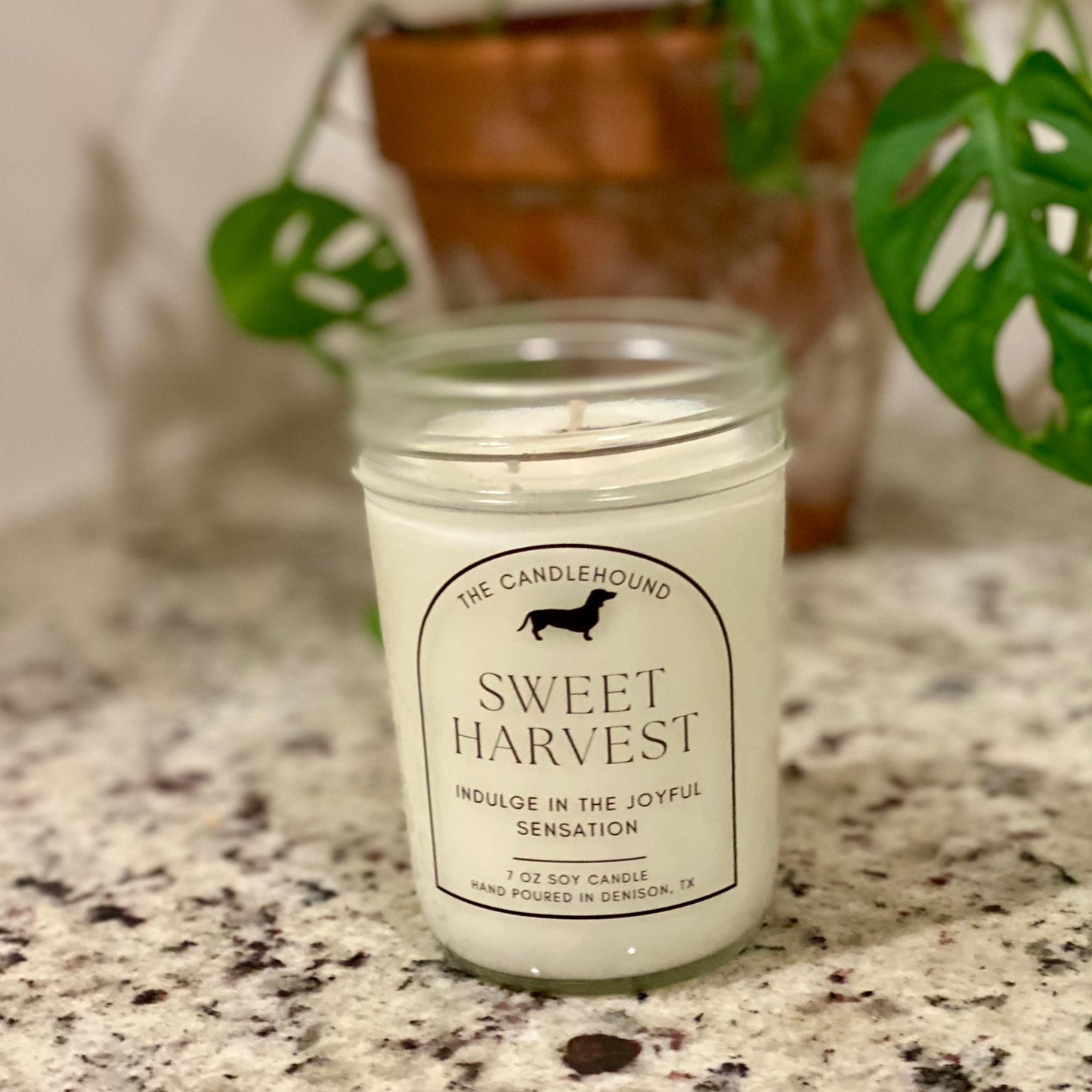 Sweet Harvest Soy Candle
