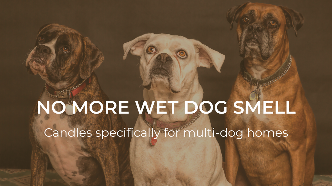 Candles for Dog Lovers, By a Dog Lover