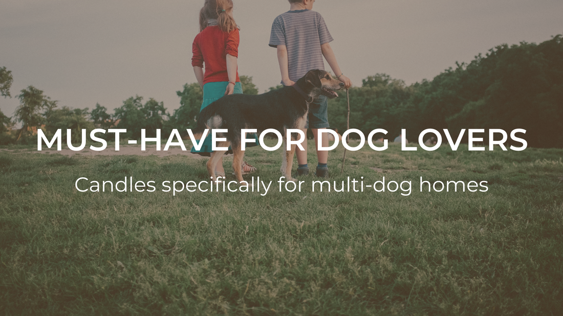 Our Candles Are a Must-Have for Dog Lovers