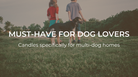 Our Candles Are a Must-Have for Dog Lovers