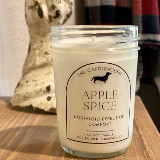 Apple Spice Soy Candle