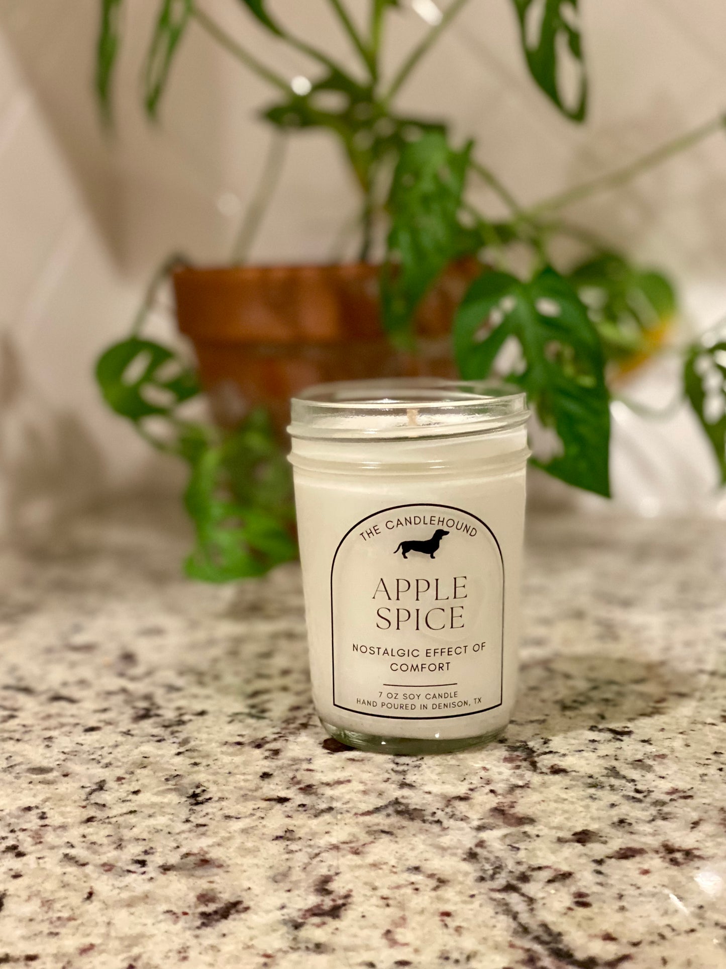 Apple Spice Soy Candle