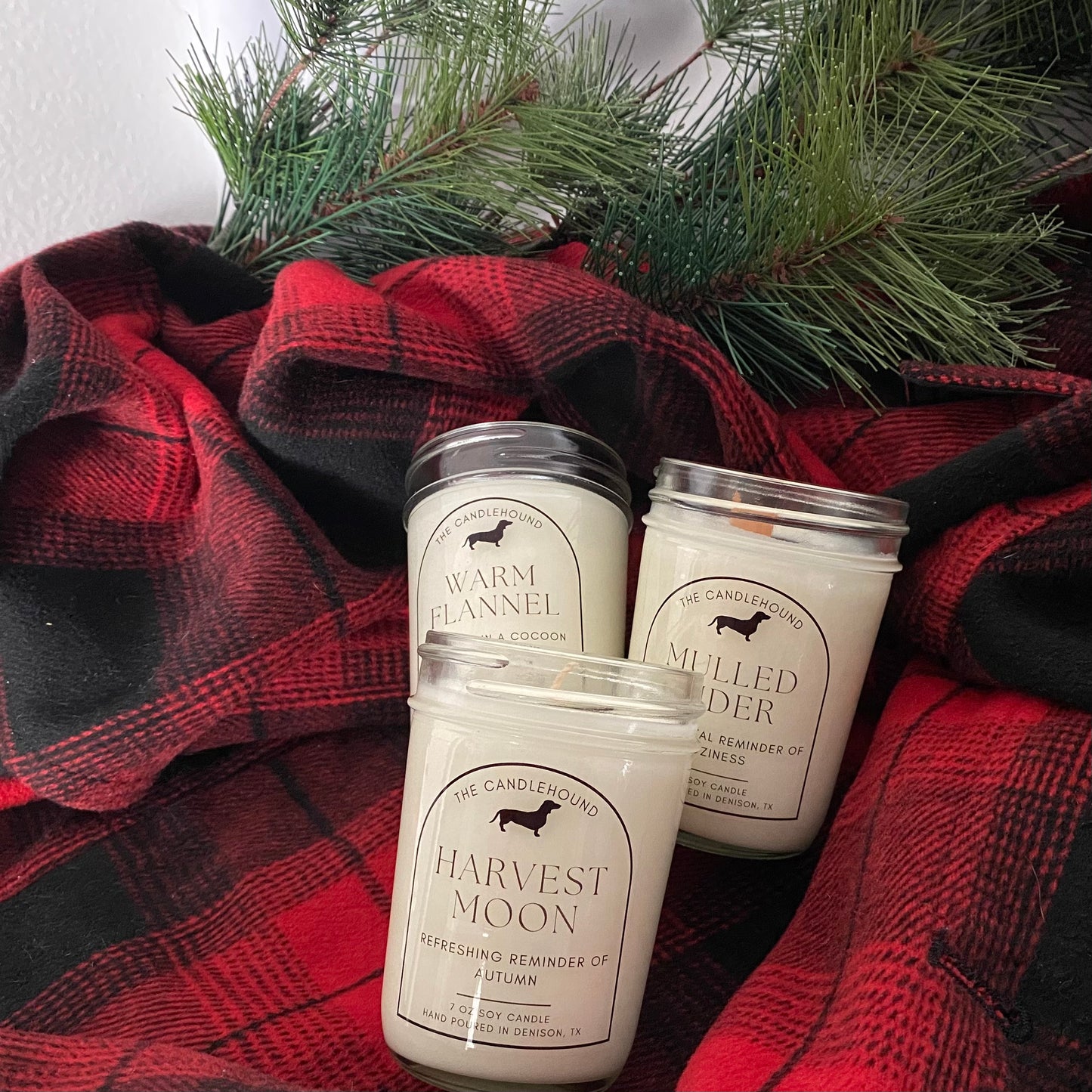 Mulled Cider Soy Candle