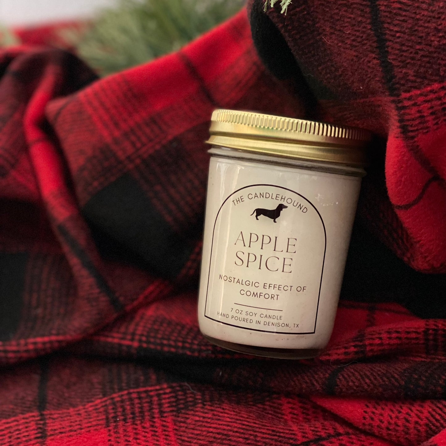 Apple Spice Soy Candle